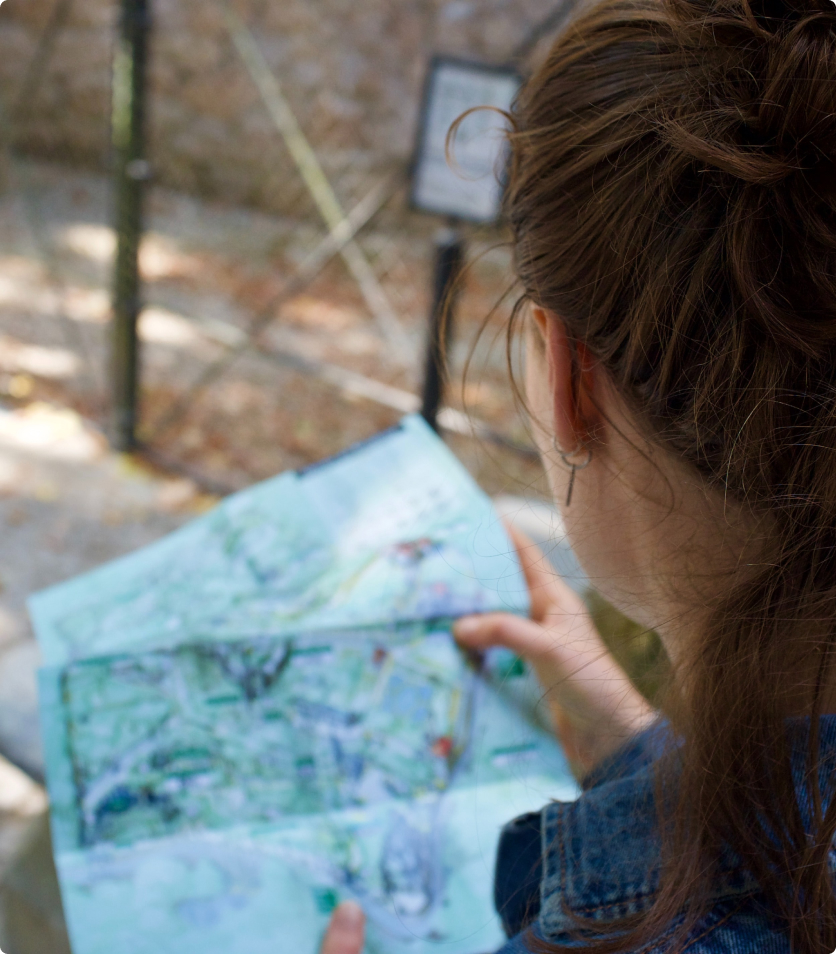 Woman looking at a map.